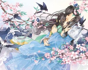 家庭摄像头 黑客